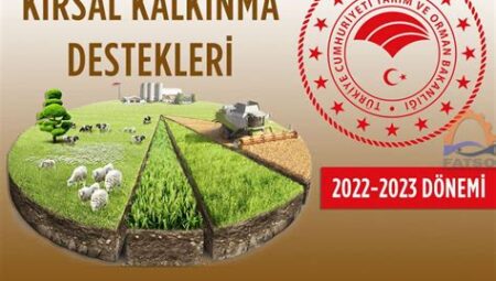 Yerel Ekonomilerin Desteklenmesi: Doğal Kaynaklara Dayalı Kalkınma Projeleri